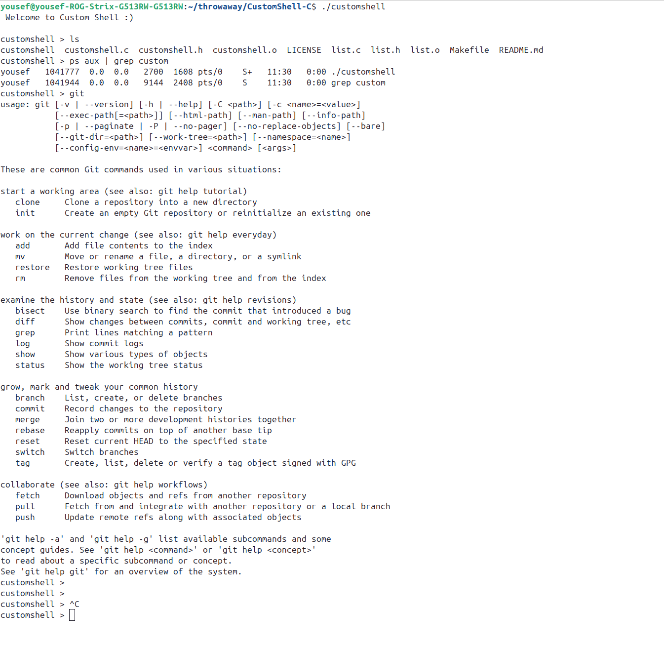 Custom Shell Terminal