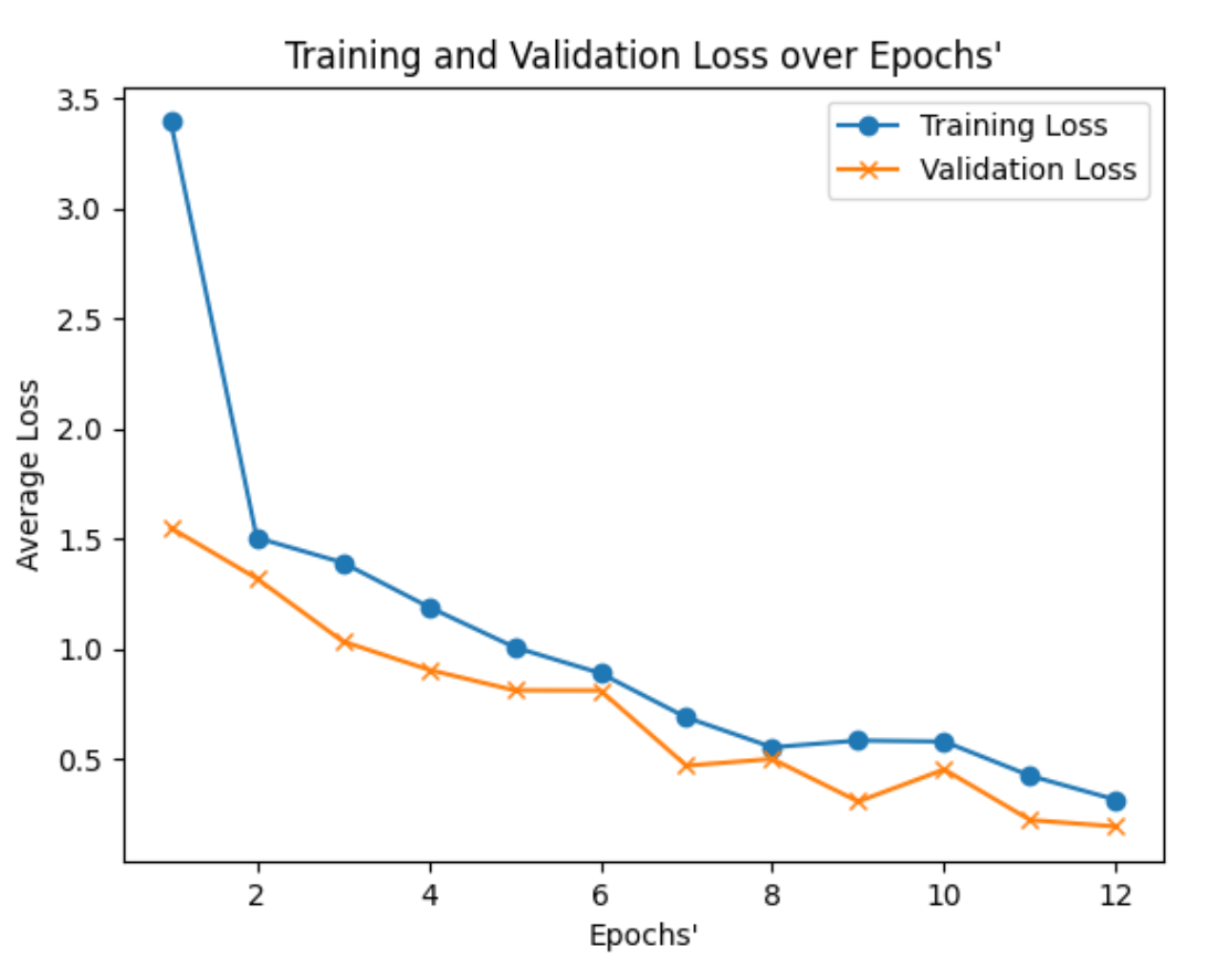 Neural Network Training Loss